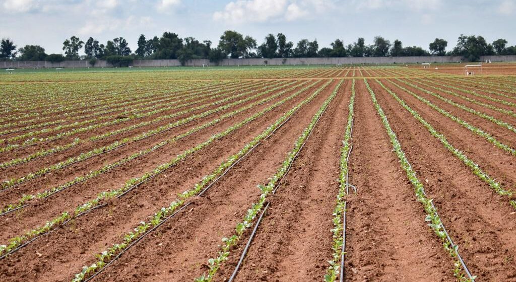 Anuncia Tere Jiménez Apoyos Para La Tecnificación De Riegos En El Campo