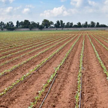 Anuncia Tere Jiménez Apoyos Para La Tecnificación De Riegos En El Campo