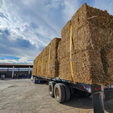 Anuncia Tere Jiménez Apoyos Para La Compra De Alimentos Y Suplementos Para Ganado