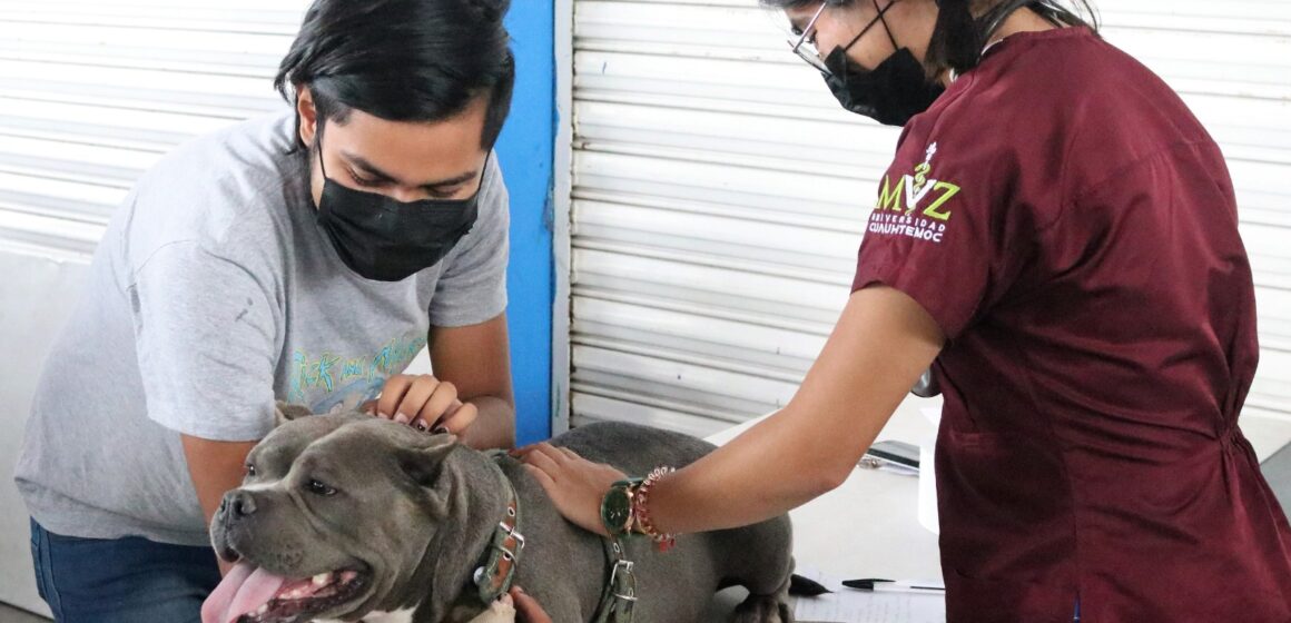 ​​PROESPA LLEVARÁ SERVICIOS VETERINARIOS GRATUITOS AL MUNICIPIO DE ASIENTOS ESTE 7 DE MARZO