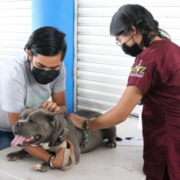 ​​PROESPA LLEVARÁ SERVICIOS VETERINARIOS GRATUITOS AL MUNICIPIO DE ASIENTOS ESTE 7 DE MARZO