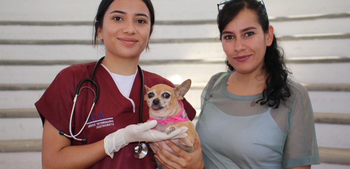 PROESPA OFRECERÁ SERVICIOS VETERINARIOS GRATUITOS EN LA VICTORIA, TEPEZALÁ