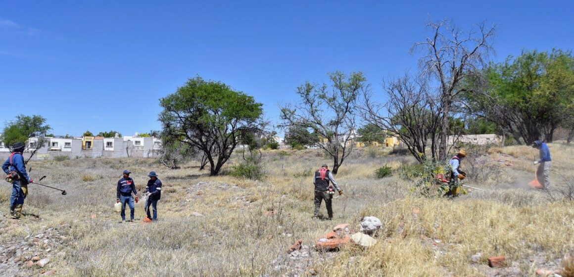 TRABAJA SEMADESU EN LA PREVENCIÓN DE INCENDIOS FORESTALES EN LA PONA