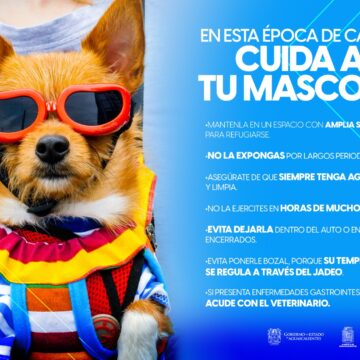 LLAMAN A SEGUIR SENCILLAS RECOMENDACIONES PARA EVITAR GOLPES DE CALOR EN LAS MASCOTAS