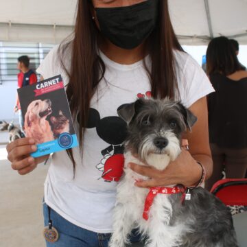 OFRECERÁN SERVICIOS VETERINARIOS GRATUITOS ESTE VIERNES EN EL MUNICIPIO DE ASIENTOS