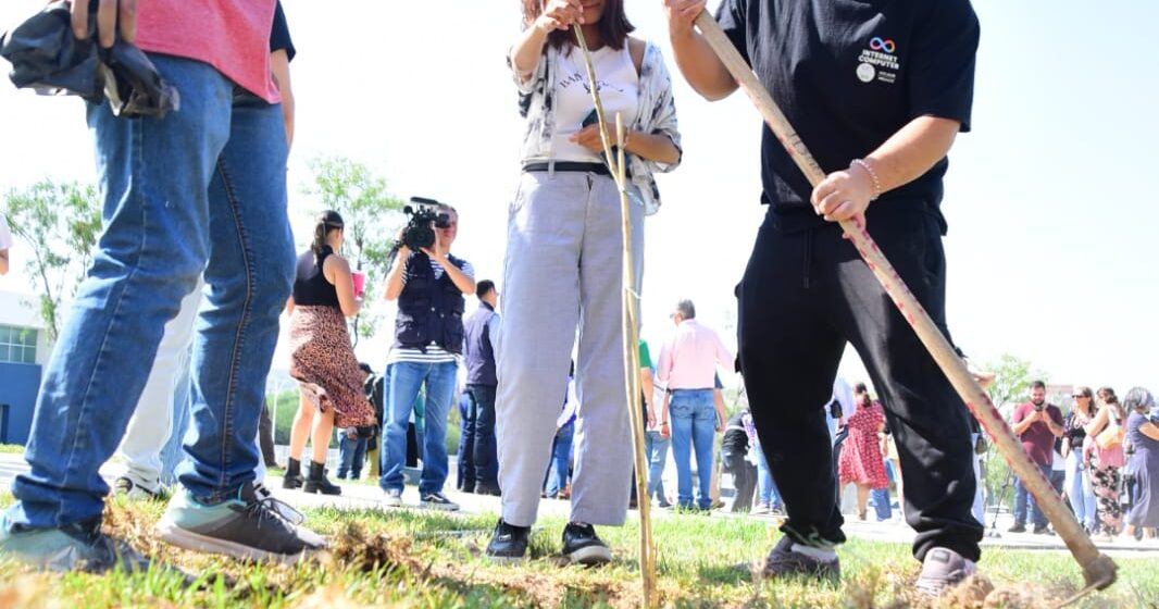 ABREN CONVOCATORIA AL PREMIO MUNICIPAL AL CUIDADO DEL MEDIO AMBIENTE 2024