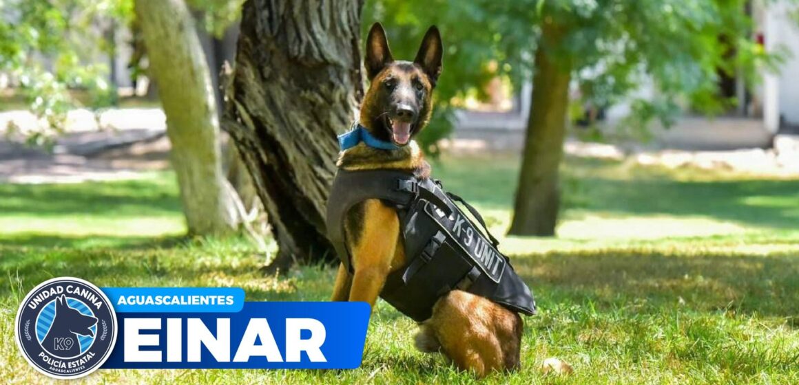 NUEVOS AGENTES CANINOS SE INTEGRAN A LA UNIDAD K9 DE LA SSPE