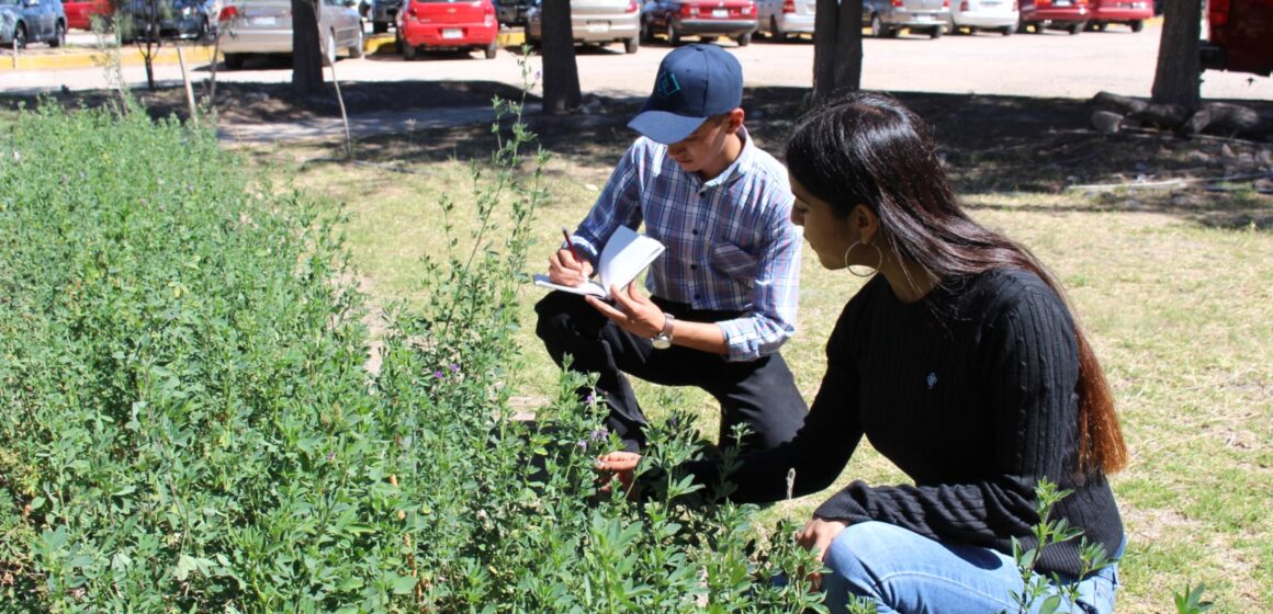 NUEVA INGENIERÍA EN INDUSTRIAS ALIMENTARIAS EN EL INSTITUTO TECNOLÓGICO DE EL LLANO