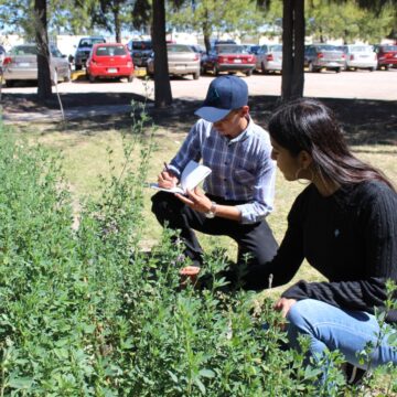 NUEVA INGENIERÍA EN INDUSTRIAS ALIMENTARIAS EN EL INSTITUTO TECNOLÓGICO DE EL LLANO