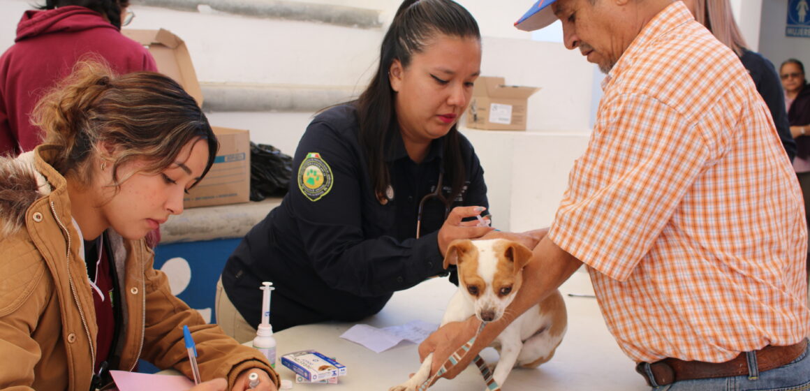 ESTE VIERNES, SERVICIOS VETERINARIOS GRATUITOS EN LA COMUNIDAD LA ESCONDIDA, EN SAN PANCHO