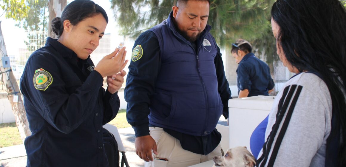 LLEGAN SERVICIOS VETERINARIOS GRATUITOS A LOS ALAMITOS EN TEPEZALÁ