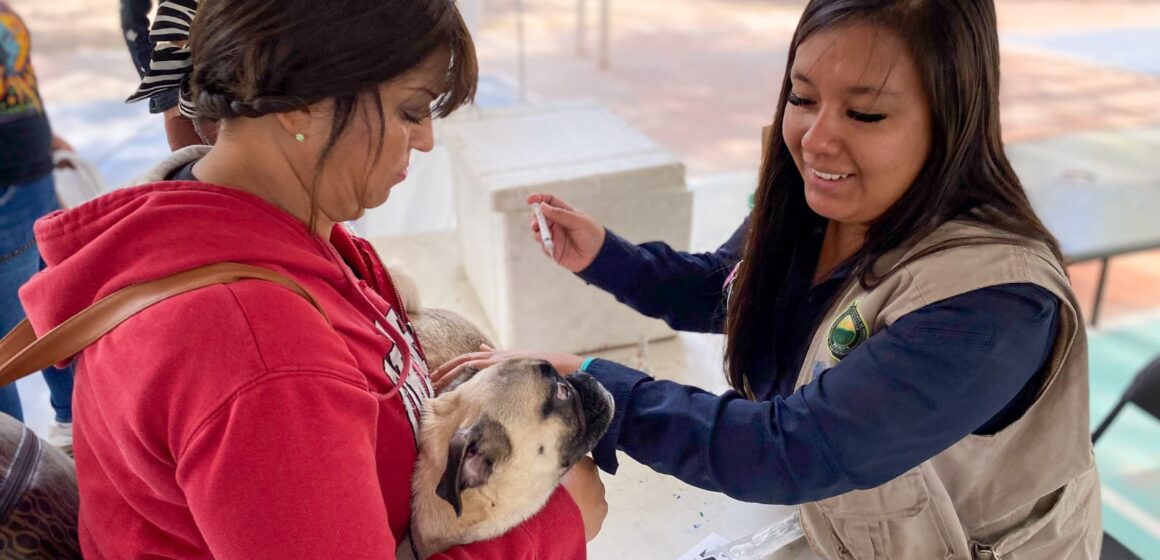 ESTE VIERNES, SERVICIOS VETERINARIOS GRATUITOS EN MARGARITAS, JESÚS MARÍA