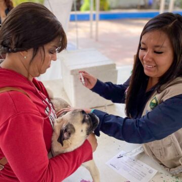 ESTE VIERNES, SERVICIOS VETERINARIOS GRATUITOS EN MARGARITAS, JESÚS MARÍA