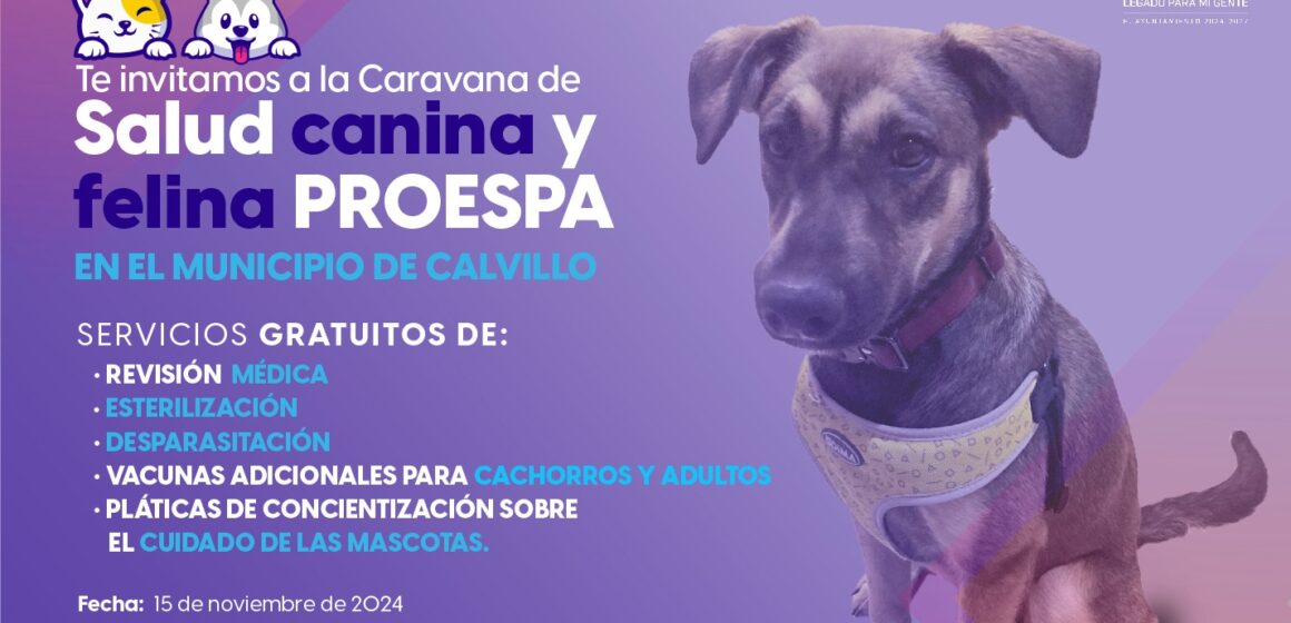 ATENCIÓN VETERINARIA GRATUITA PARA TUS MASCOTAS ESTE 15 DE NOVIEMBRE EN CALVILLO