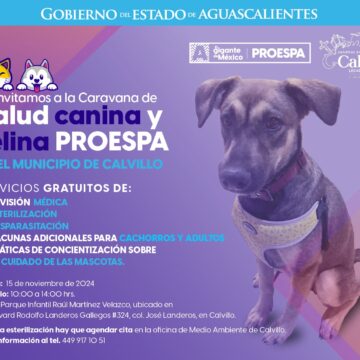 ATENCIÓN VETERINARIA GRATUITA PARA TUS MASCOTAS ESTE 15 DE NOVIEMBRE EN CALVILLO