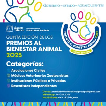 EN AGUASCALIENTES, RECONOCEREMOS A QUIENES VELAN POR EL BIENESTAR ANIMAL; TÚ PUEDES PARTICIPAR