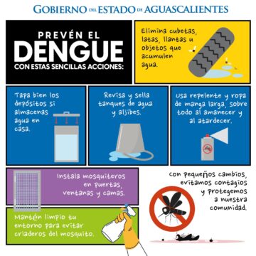 CON SENCILLAS RECOMENDACIONES PODEMOS PREVENIR EL DENGUE
