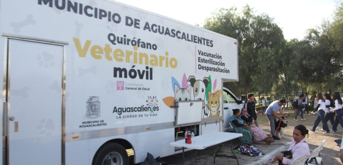 ANUNCIA COORDINACIÓN GENERAL DE SALUD FERIA DE ADOPCIONES EN EL QUINCENARIO DE LA VIRGEN DE LA ASUNCIÓN