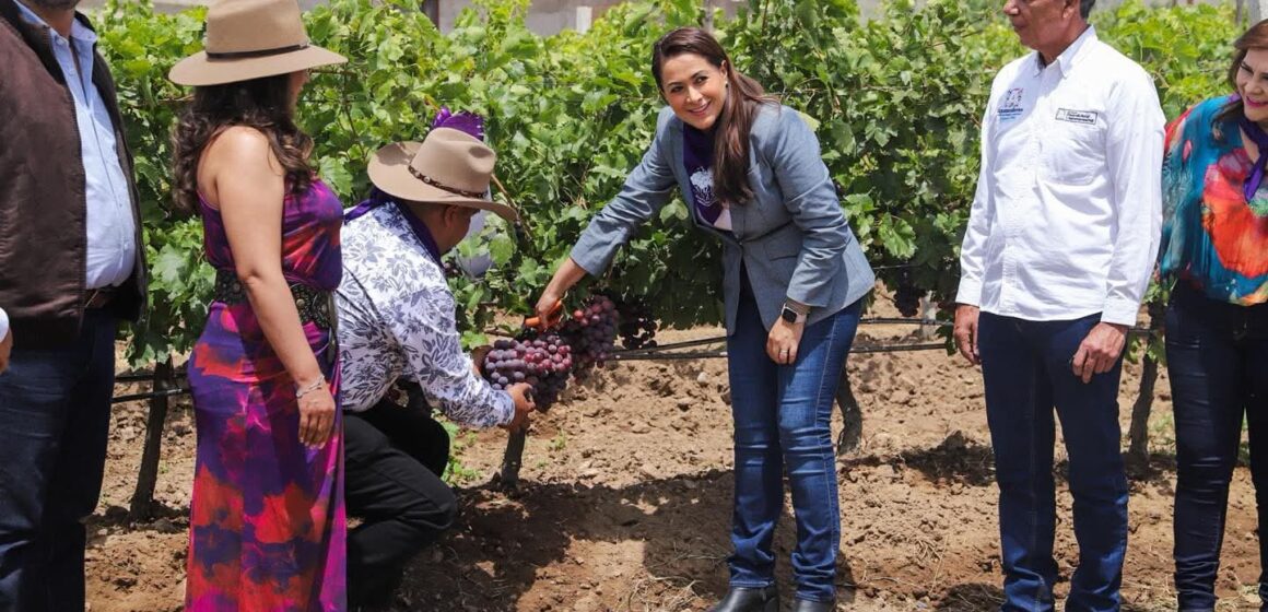 TERE JIMÉNEZ ENCABEZA EL PRIMER FESTIVAL DE LA UVA EN COSÍO