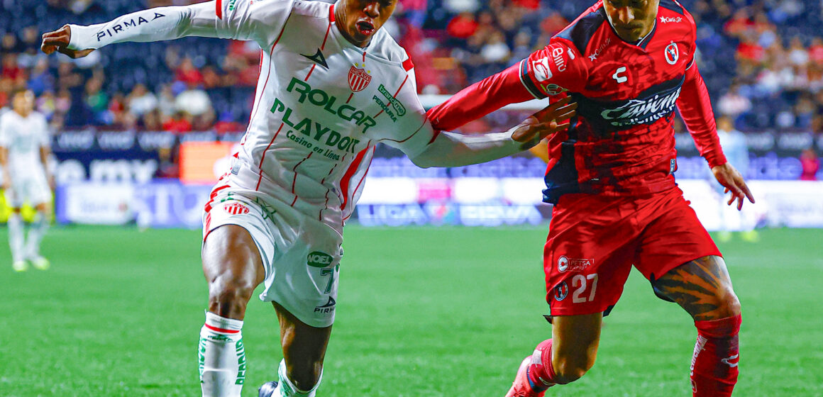 DERROTA DE LOS RAYOS EN SUELO FRONTERIZO