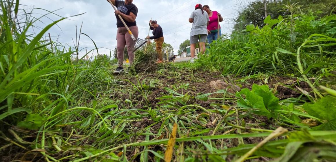 MÁS DE 14 MIL FAMILIAS Y SUS COMUNIDADES SE HAN VISTO BENEFICIADAS CON EL PROGRAMA DE EMPLEO TEMPORAL