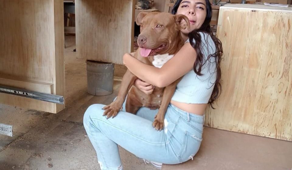 EL RESCATE DE RAMONA, UNA HISTORIA DE ESPERANZA Y AMOR INCONDICIONAL