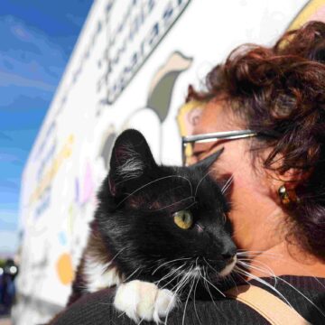 ENCABEZA LEO MONTAÑEZ JORNADA DE ESTERILIZACIONES Y VACUNACIONES EN EL MORELOS