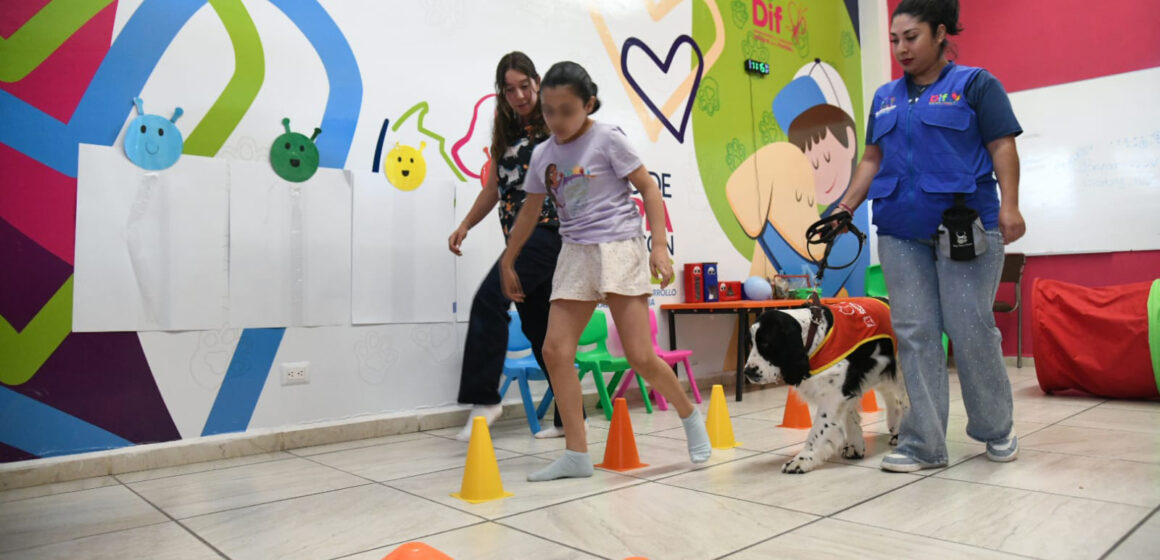 SEÑORA JINGLES, LA PERRITA QUE AYUDA A CAMBIAR VIDAS EN EL DIF ESTATAL