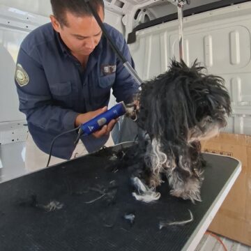 ESTE VIERNES, HABRÁ SERVICIOS VETERINARIOS GRATUITOS EN PABELLÓN DE ARTEAGA