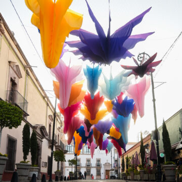 MILLONES DE PERSONAS ADMIRARÁN UN COLORIDO JARDÍN BOTÁNICO EN EL CORREDOR CULTURAL CARRANZA 2026